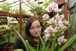 В ботаническом саду зацвели орхидеи желаний 