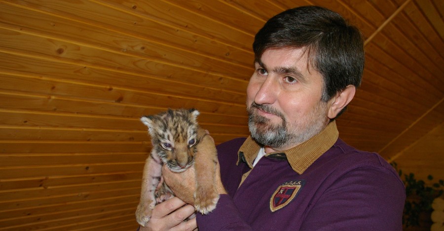 В Бердянском зоопарке родилась уссурийская тигрица