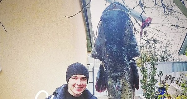 В Чернигове рыбак поймал огромного сома