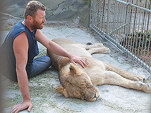 Александр Пылышенко, проживший месяц с львицей, уже мировой рекордсмен